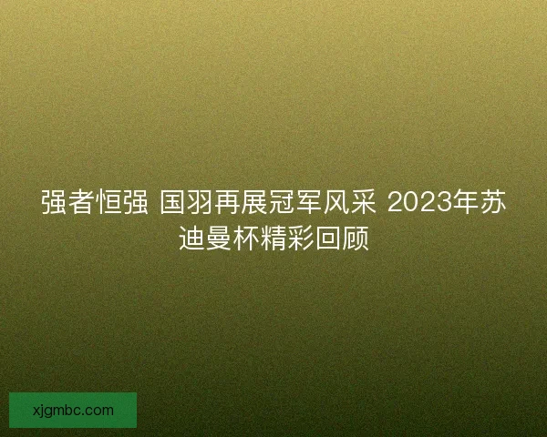 强者恒强 国羽再展冠军风采 2023年苏迪曼杯精彩回顾