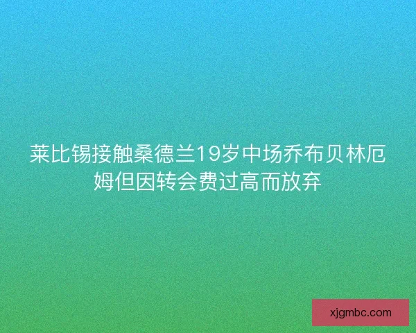 莱比锡接触桑德兰19岁中场乔布贝林厄姆但因转会费过高而放弃